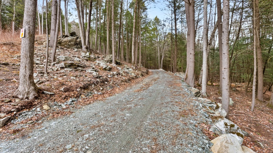 13191 Route 22 Lot 5 Photo 9