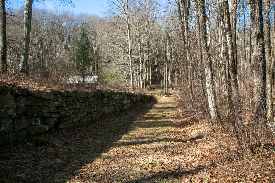 11 Hodge Road Photo 28