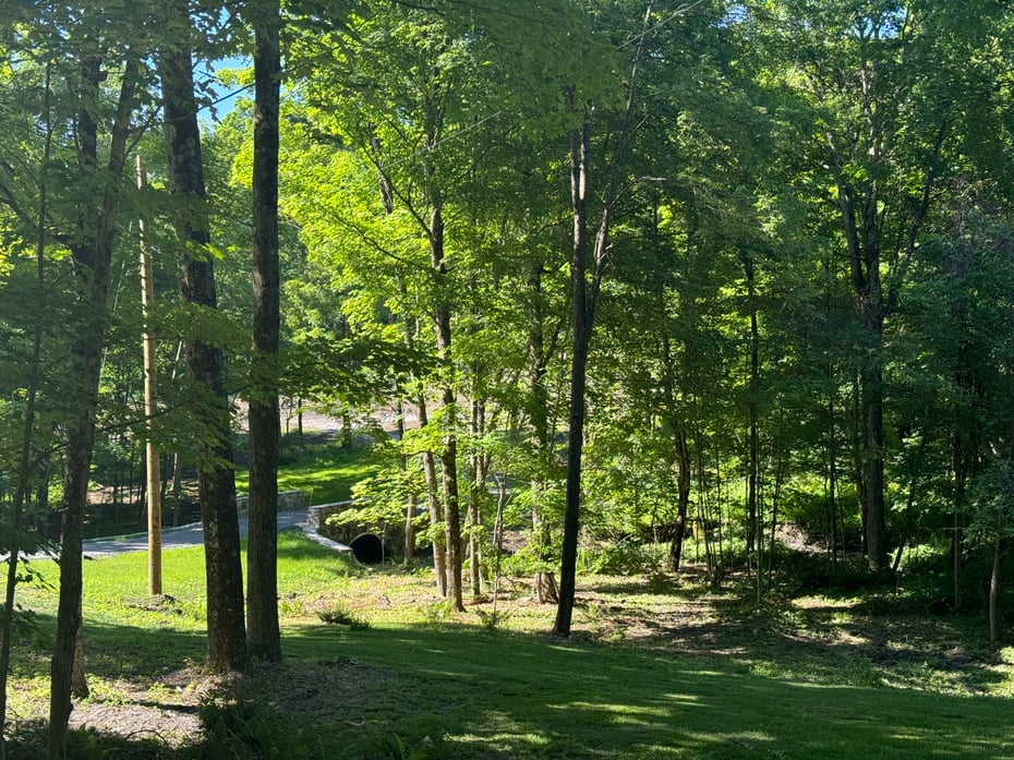 43 Millard Rd Photo 5
