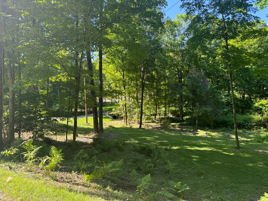 43 Millard Rd Photo 6