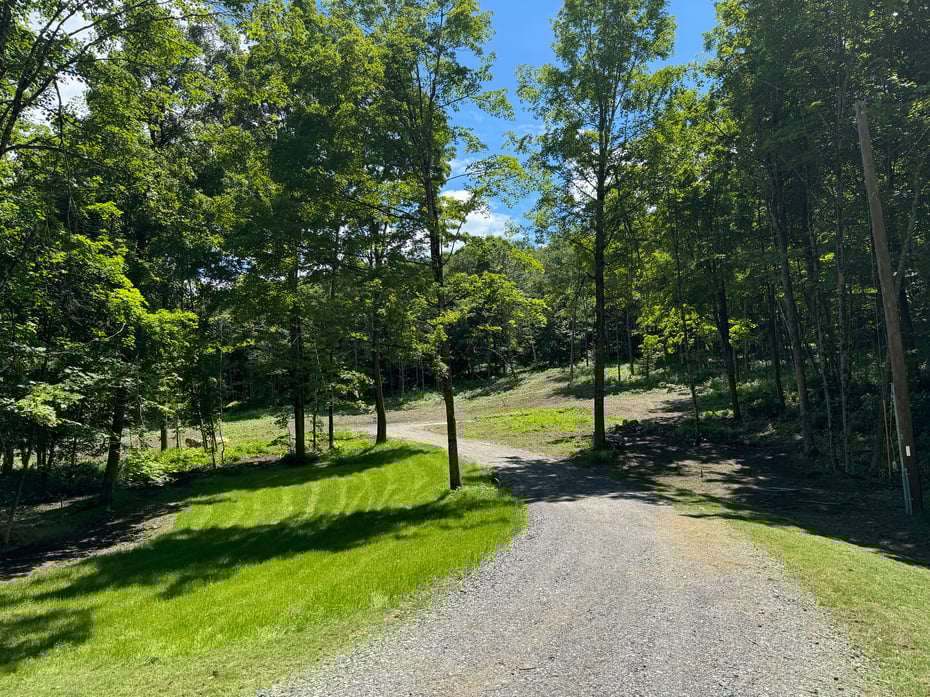 43 Millard Rd Photo 13