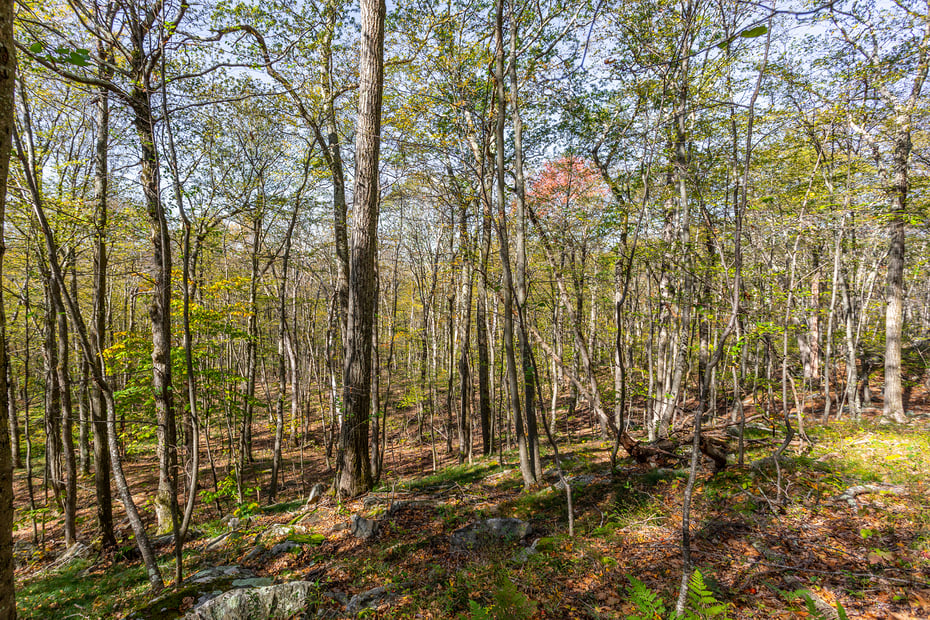 15 Caray Hill Road Photo 8