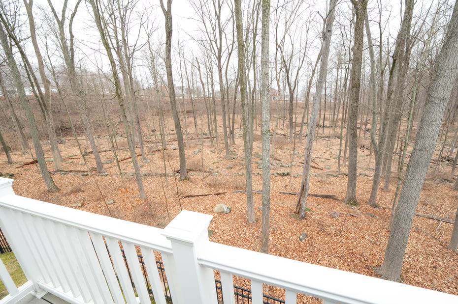 135 Winding Ridge Way #135 Photo 18