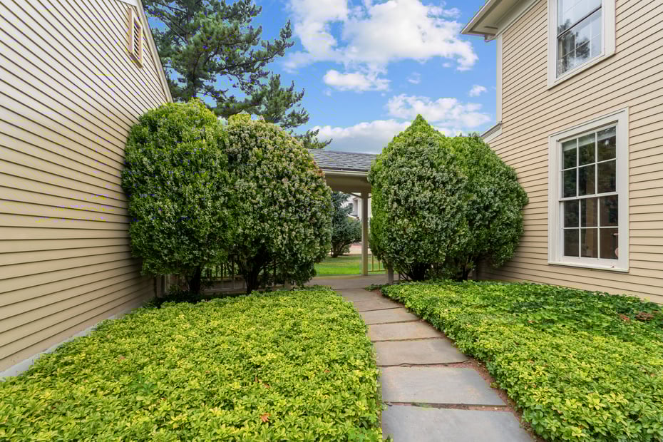 113 Linden Avenue Photo 35
