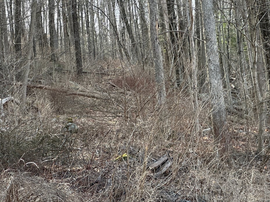 00 Torrington Road Photo 5