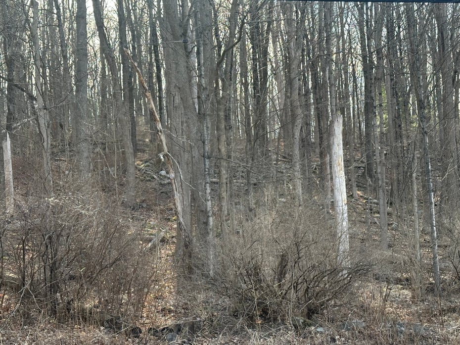 00 Torrington Road Photo 3