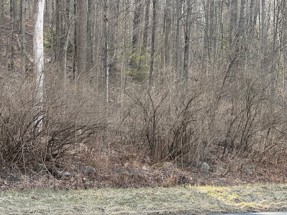 00 Torrington Road Photo 1