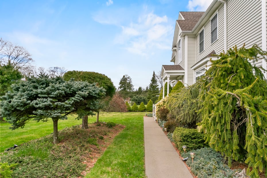 546 White Plains Road Photo 26