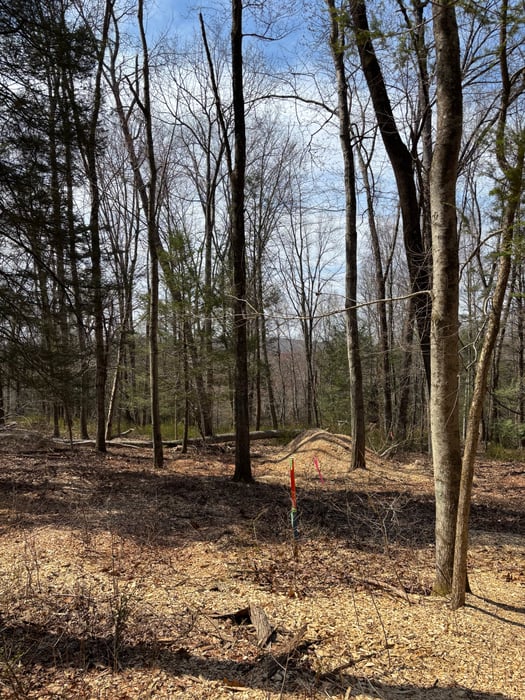 Lot 4 Chalybes Road West Photo 9