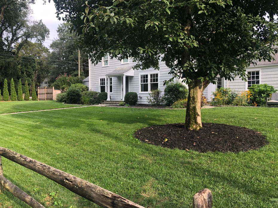1 Juniper Road Photo 4