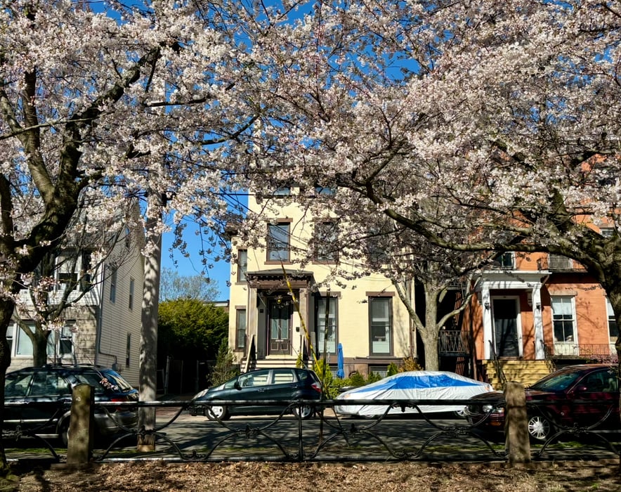 38 Academy Street Photo 1