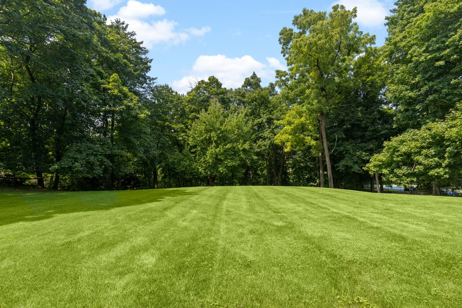 78 Pleasant Ridge Road Photo 29
