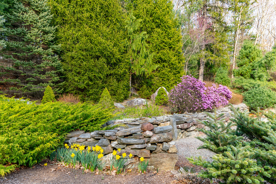 25 Spruce Drive Photo 30