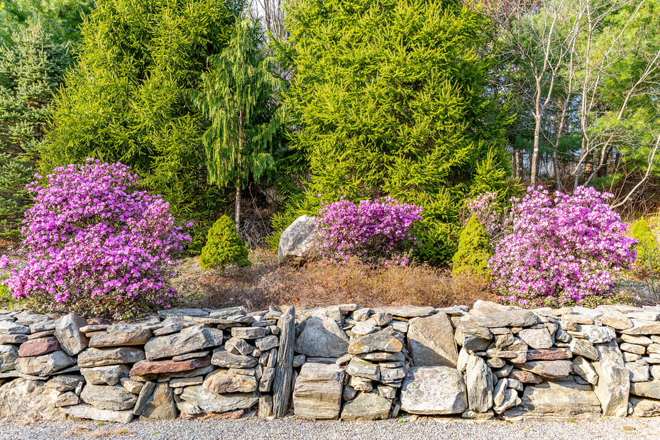 25 Spruce Drive Photo 31