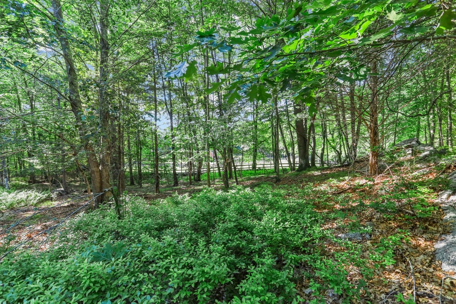 4 Old Mill Road Photo 13