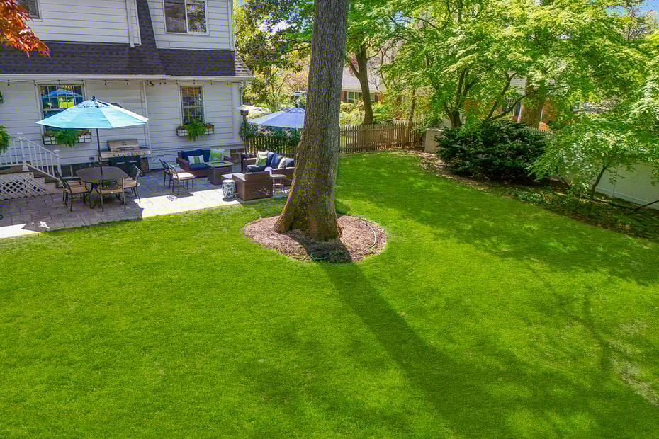 11 Benedict Place Photo 41