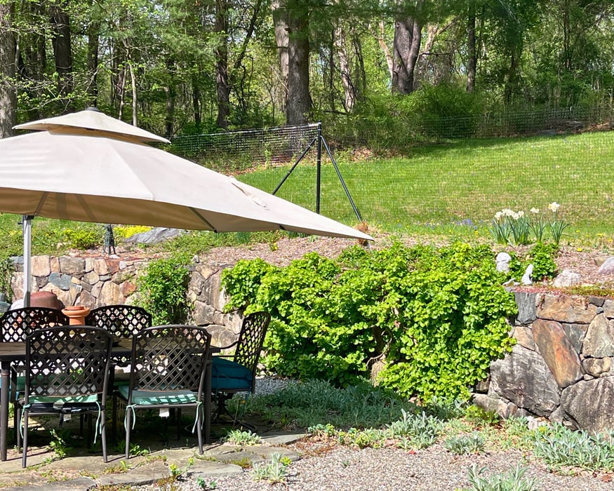 64 Belden Road Photo 18