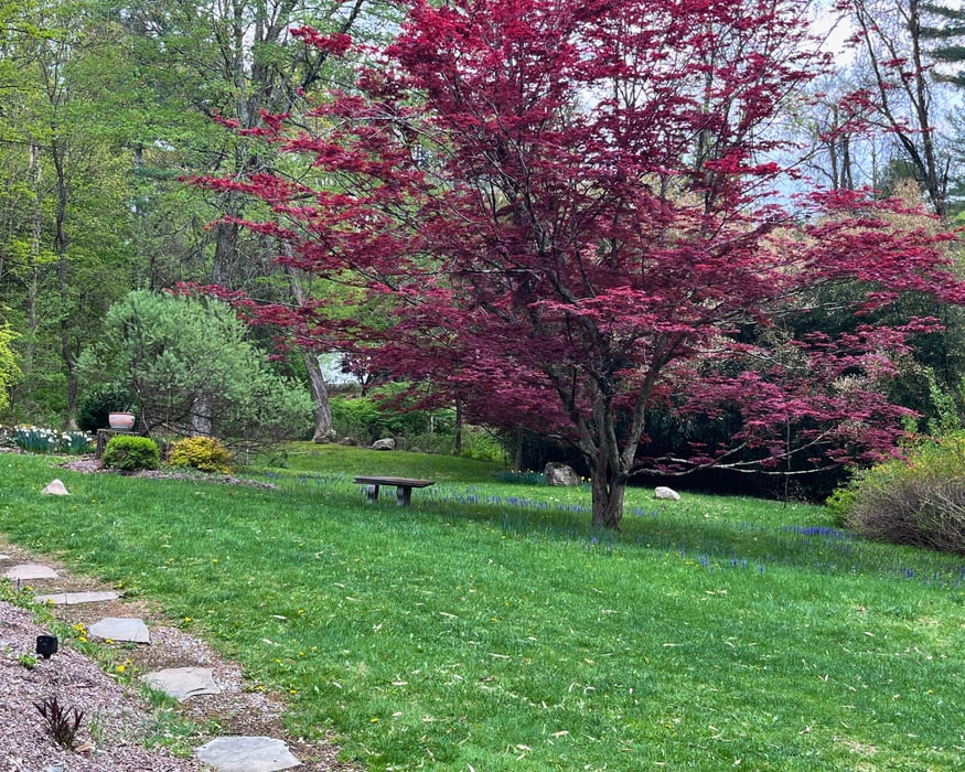 64 Belden Road Photo 21