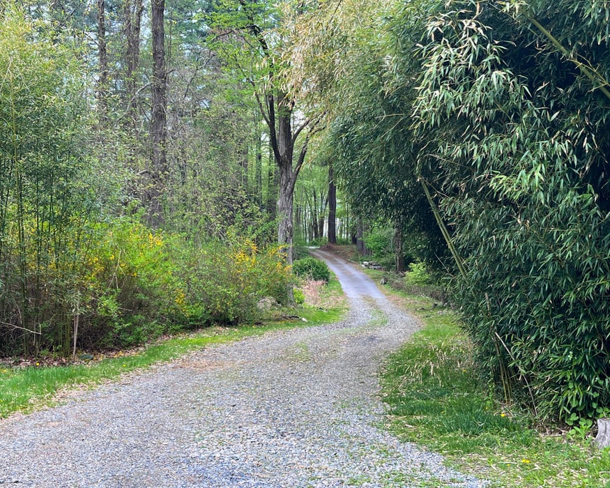 64 Belden Road Photo 23