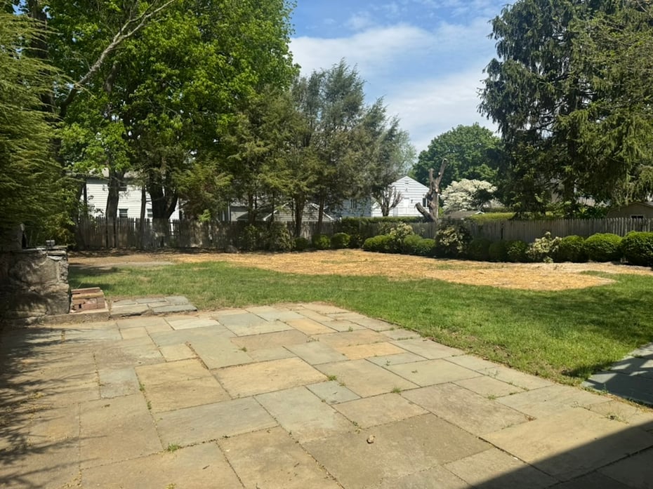 13 Pine Street Photo 26