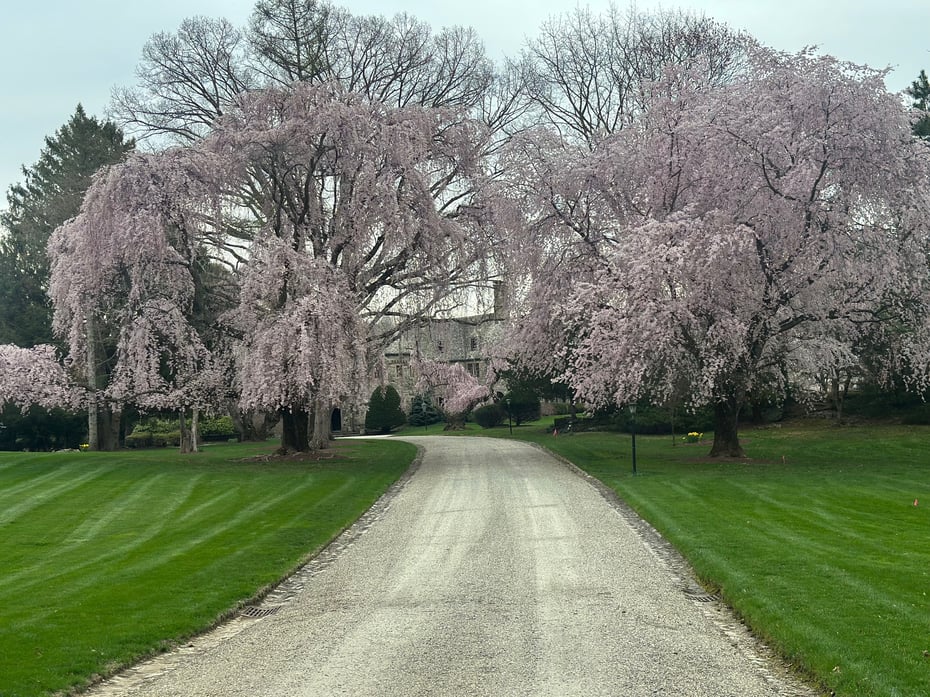 35 Dogwood Lane Photo 4