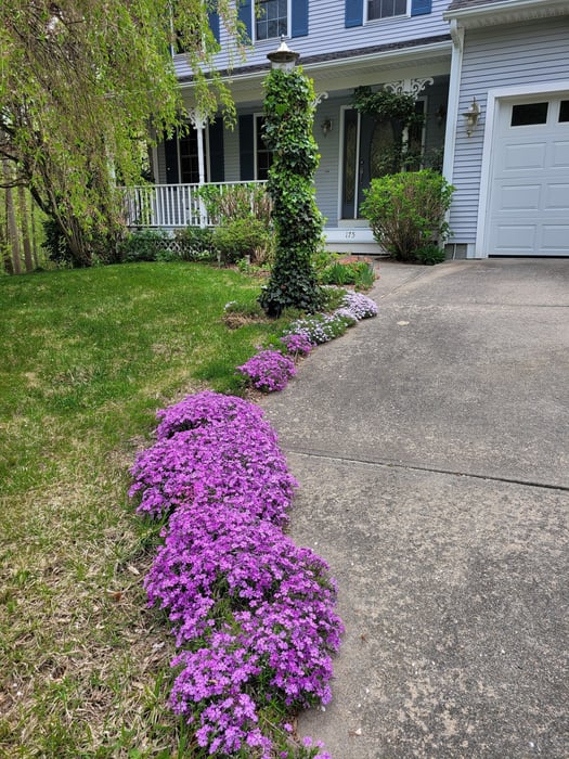 175 Ledgeland Drive Photo 21