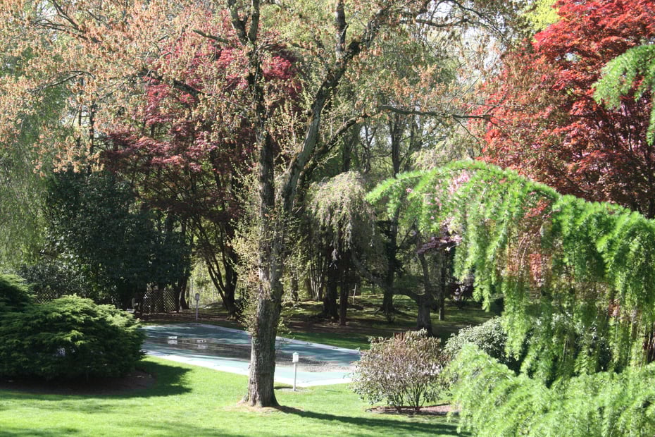 35 Dogwood Lane Photo 14