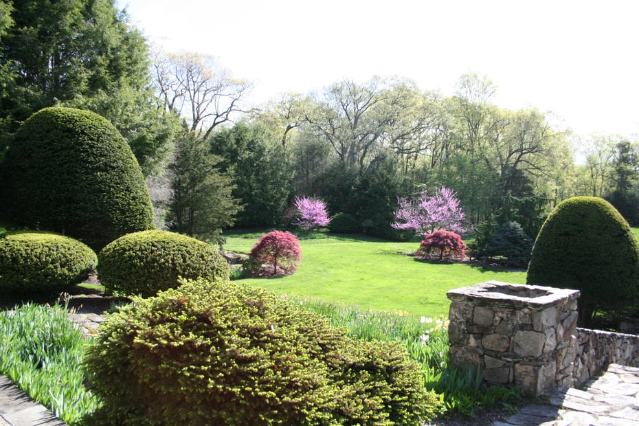 35 Dogwood Lane Photo 16