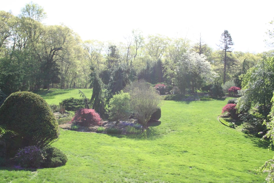 35 Dogwood Lane Photo 12