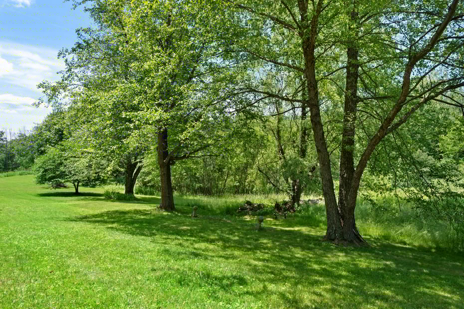 255 Smith Hill Road Photo 30