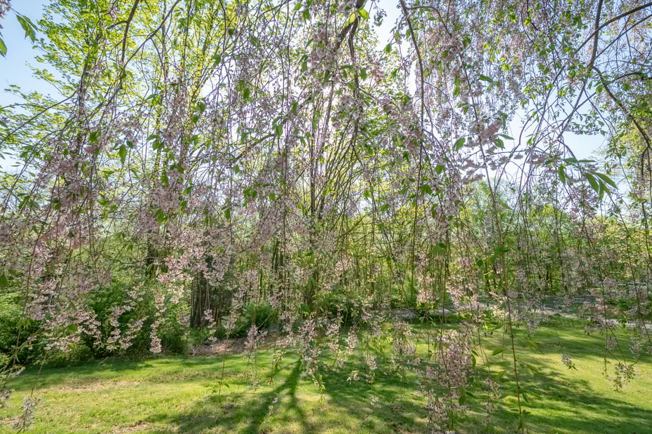103 Squash Hollow Road Photo 20