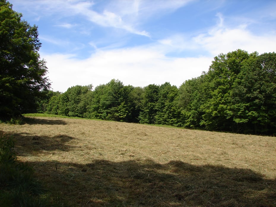 Lot 5 Milton Road Photo 7