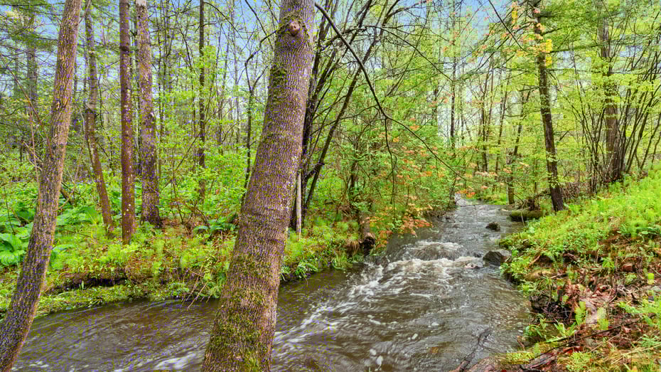 170 Stockbridge Rd Photo 27