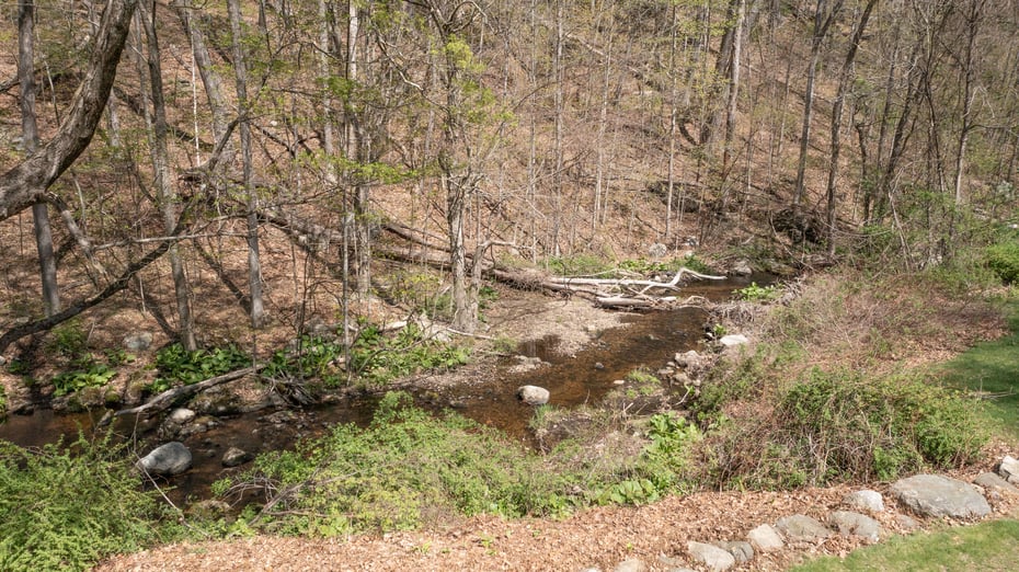 188 Huntingtown Road Photo 8