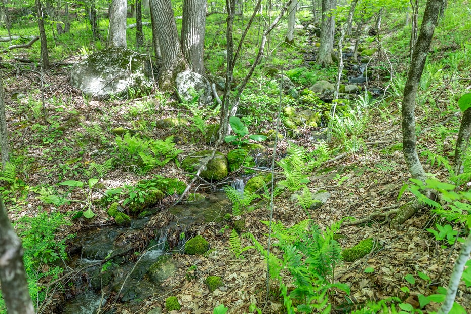 162 Mud Pond Road Photo 30