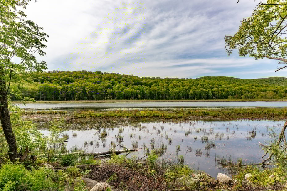 162 Mud Pond Road Photo 29