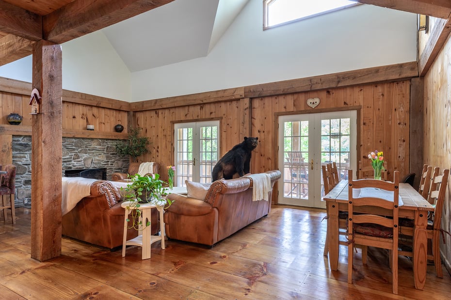 162 Mud Pond Road Photo 4