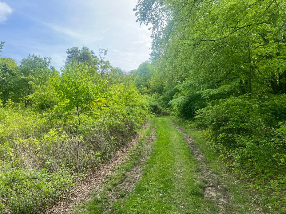 Spooner Hill Road Photo 2