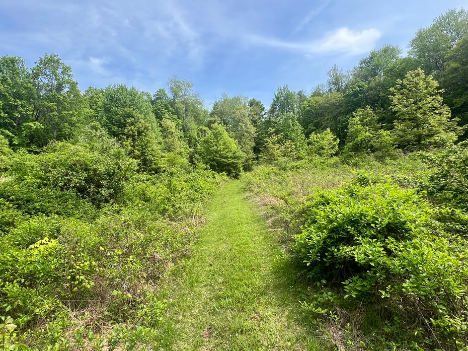 Spooner Hill Road Photo 3