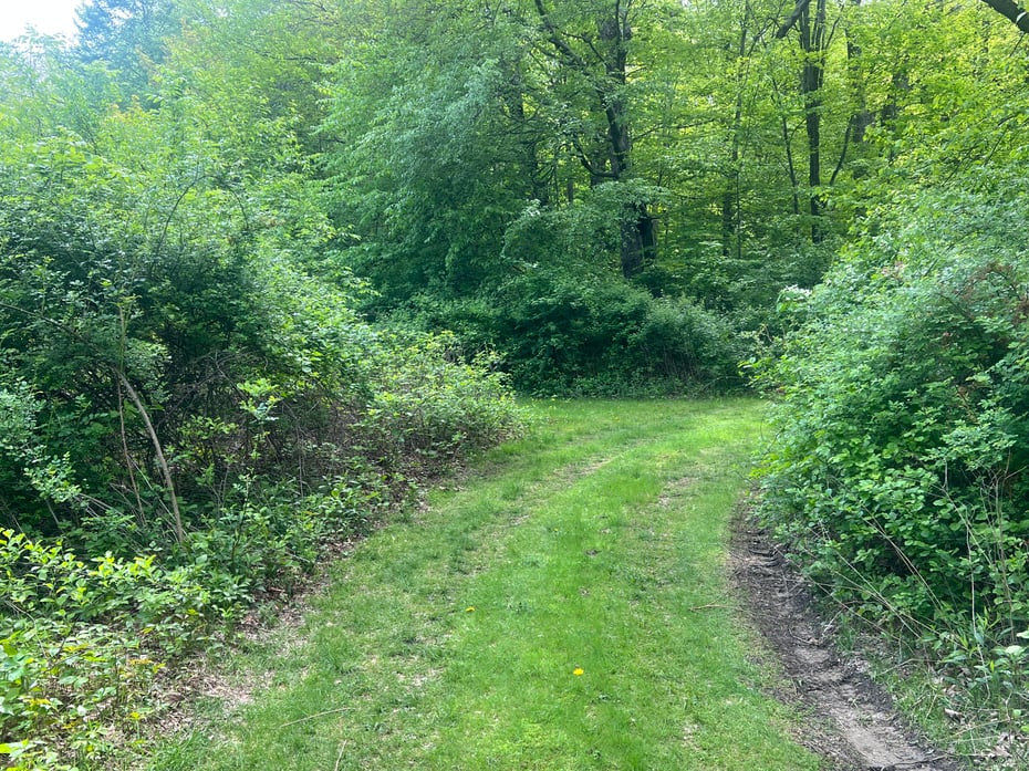 Spooner Hill Road Photo 4