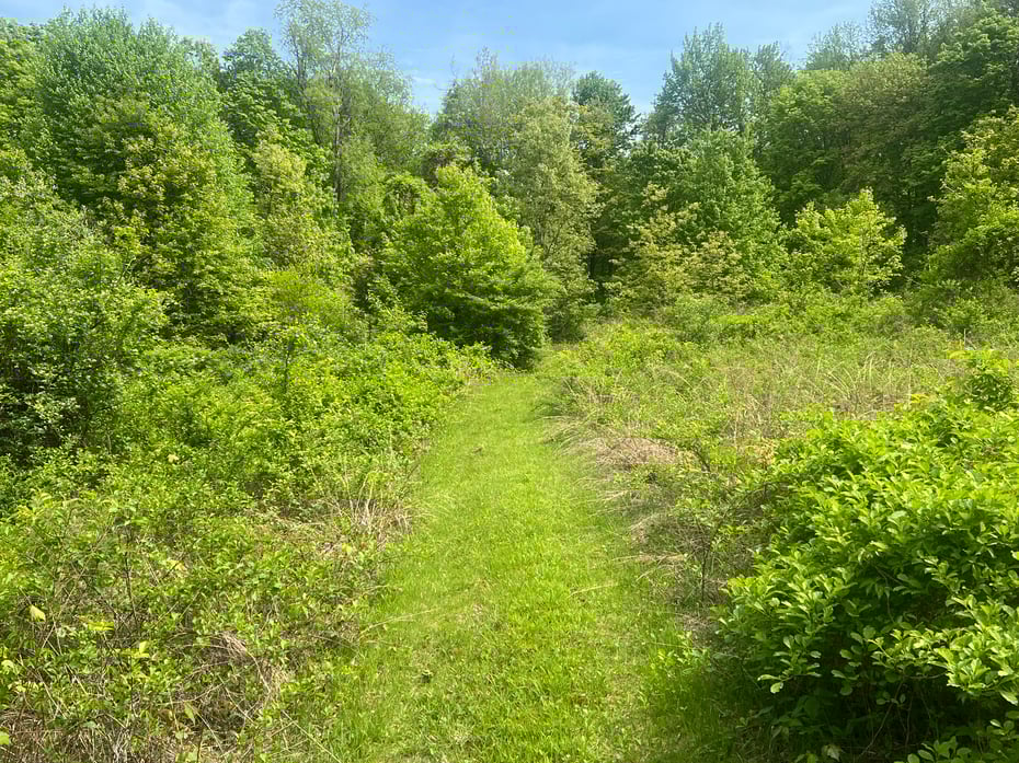 Spooner Hill Road Photo 5