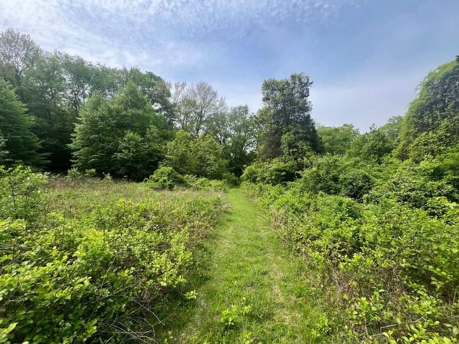Spooner Hill Road Photo 6