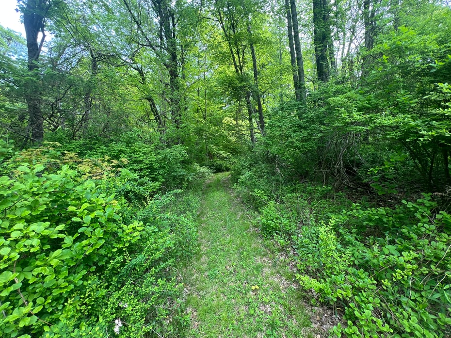 Spooner Hill Road Photo 7
