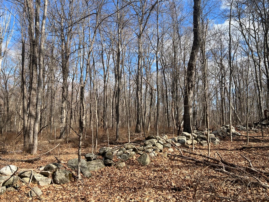 Spooner Hill Road Photo 8