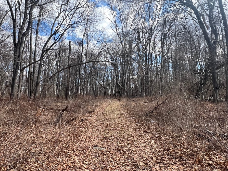 Spooner Hill Road Photo 13