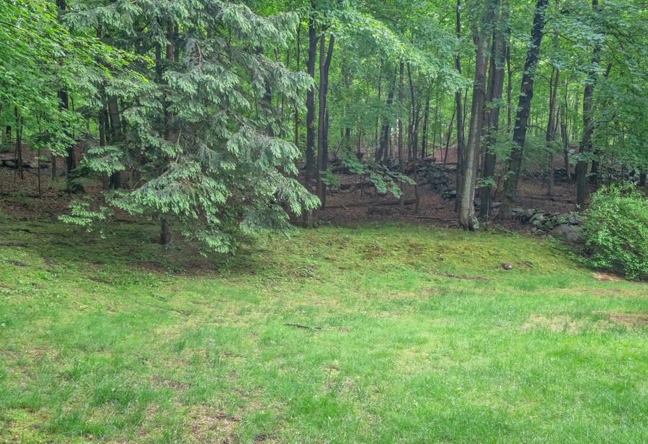 341 Millwood Road Photo 30