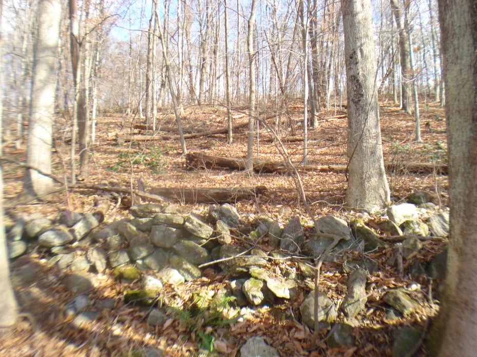 Rte 39 South, State Route Photo 8