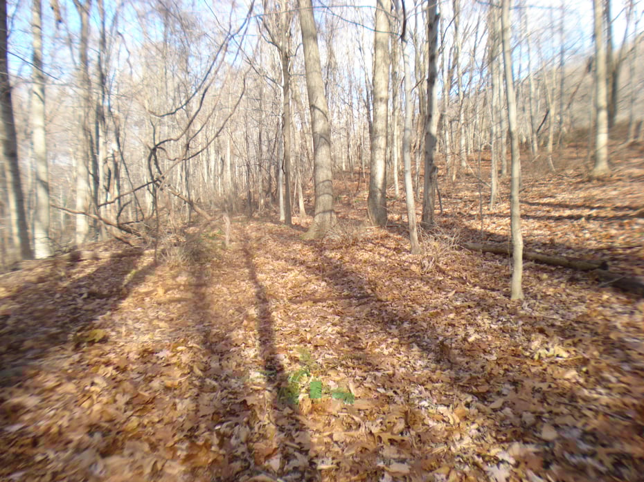 Rte 39 South, State Route Photo 7