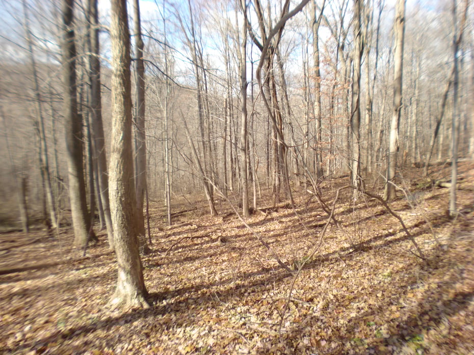 Rte 39 South, State Route Photo 9