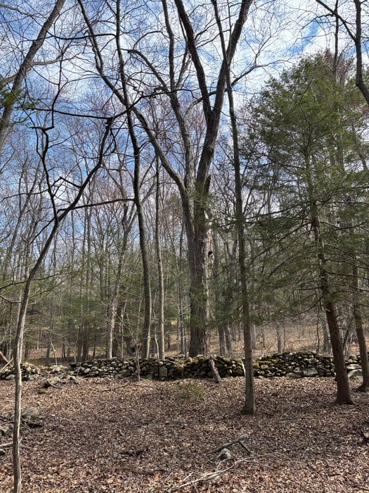 Lot 00 Chalybes Road West Photo 6